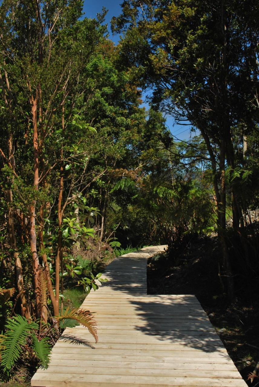 Chucao Bosque Y Cabanas Chaitén Exterior foto